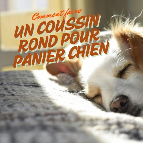 Comment faire un coussin rond pour chien ?