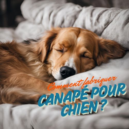 Comment fabriquer un canapé pour chien ?