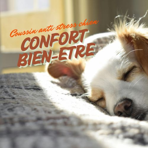 Coussin Anti Stress Chien- Confort et Bien-Etre