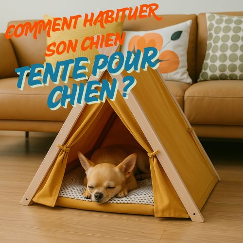 Tente pour chien : Comment habituer son chien à sa tente ?