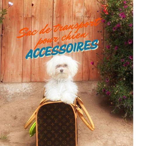 Sac pour transporter un chien: Accessoire indispensable des sorties