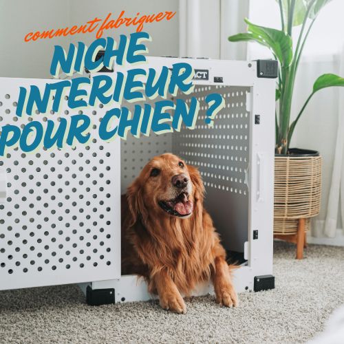 Comment faire une niche d'intérieur pour chien ?