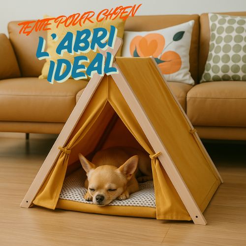 Tente pour chien : l'abri idéal à la maison et en voyage