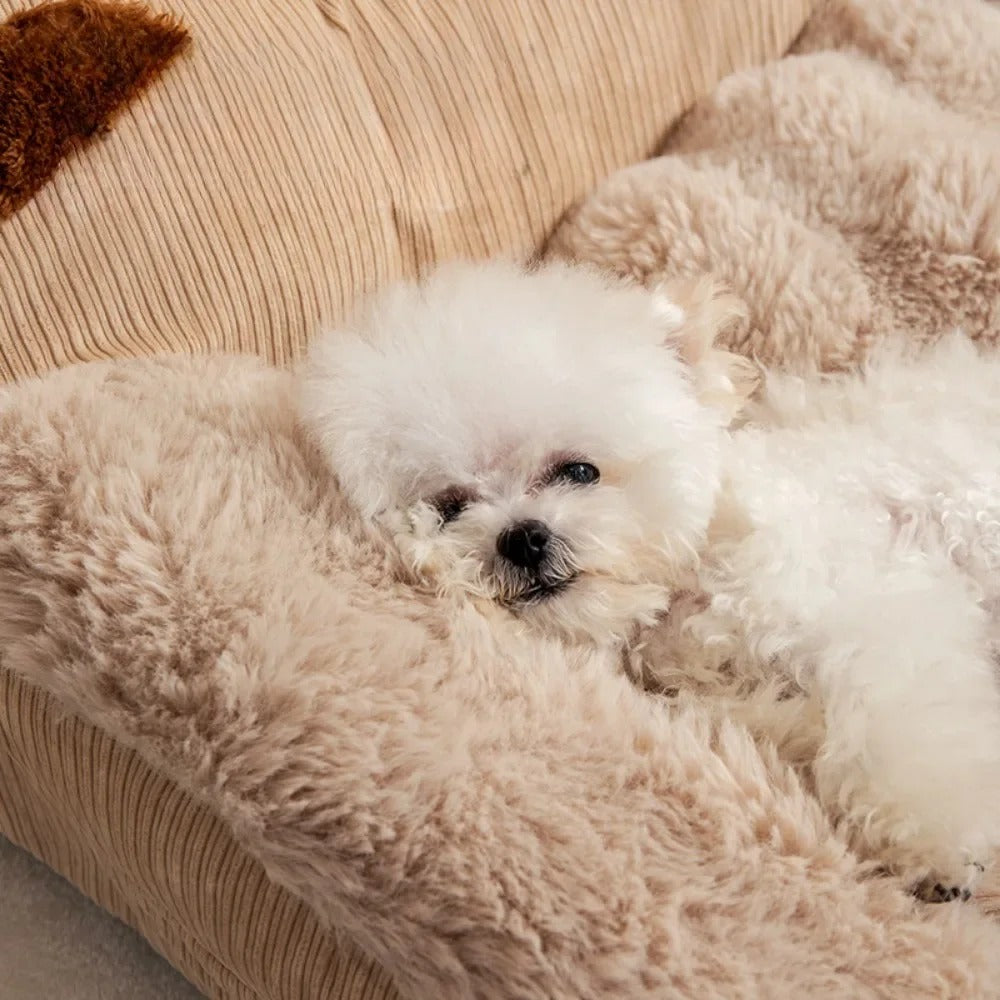 canape-chien-adorable