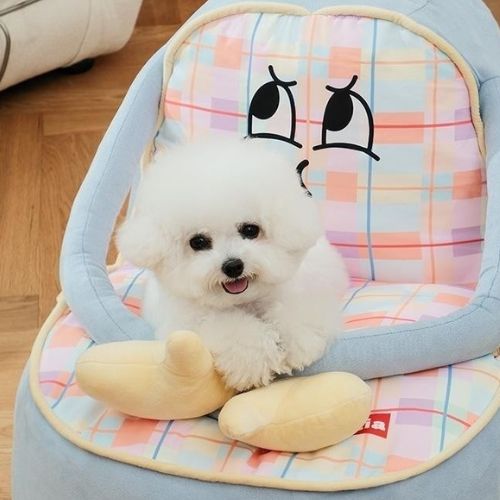 canape-lit-pour-chien-amusant