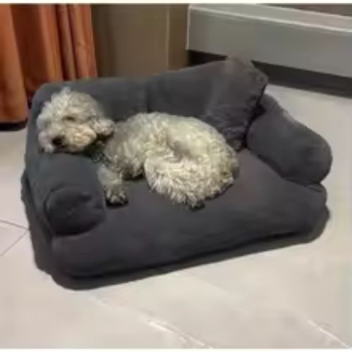 canape-pour-chien-orthopedique-confort-plus