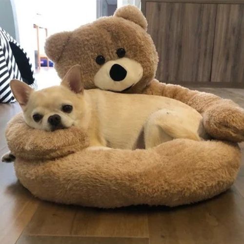 coussin-anti-stress-chien-confortable