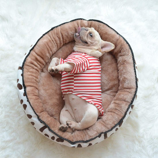 coussin-chien-rond