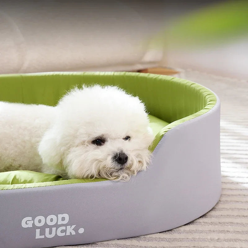 coussin-lavable-pour-chien-adorable