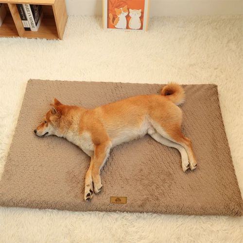 cussin-pour-chien-xxl-entretien-facil