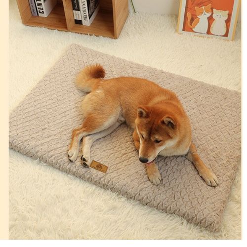 coussin-pour-chien-xxl-nettoyable