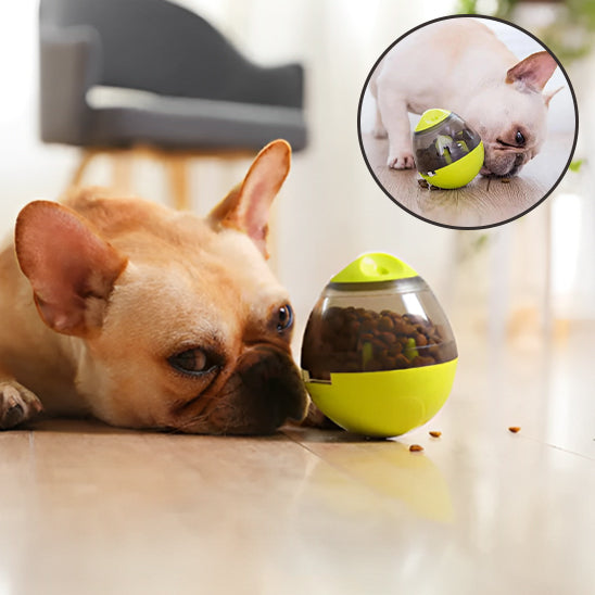 distributeur-de-croquettes-chien-efficace