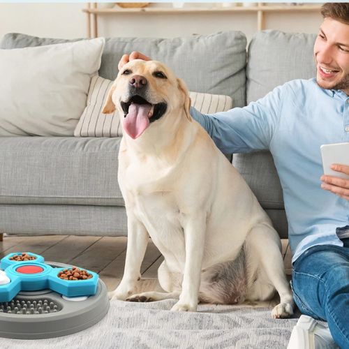 gamelle-anti-glouton-chien-efficace