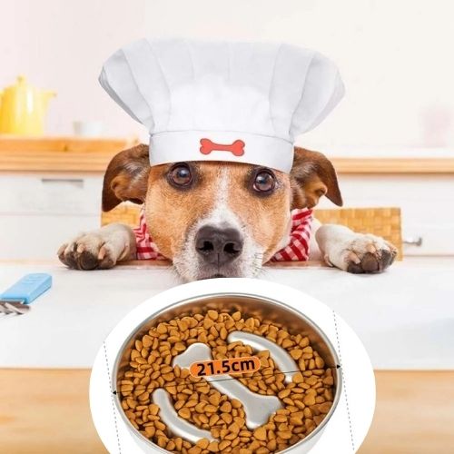 gamelle-anti-glouton-chien-durable