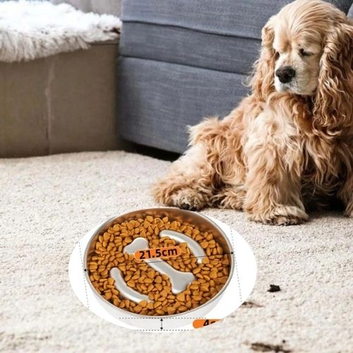 gamelle-anti-glouton-chien-fiable