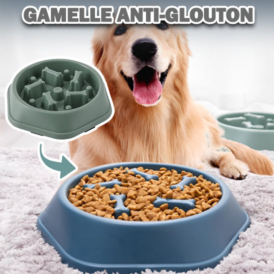 gamelle-anti-glouton-modern