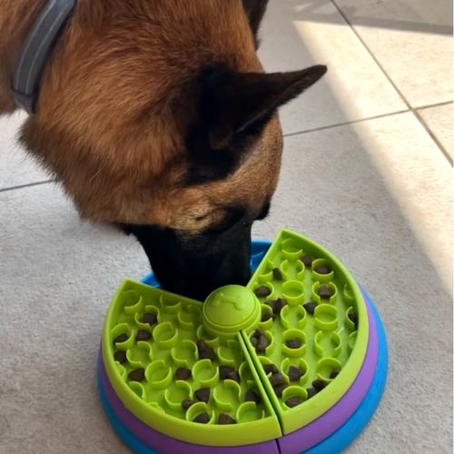 gamelle-anti-glouton-util