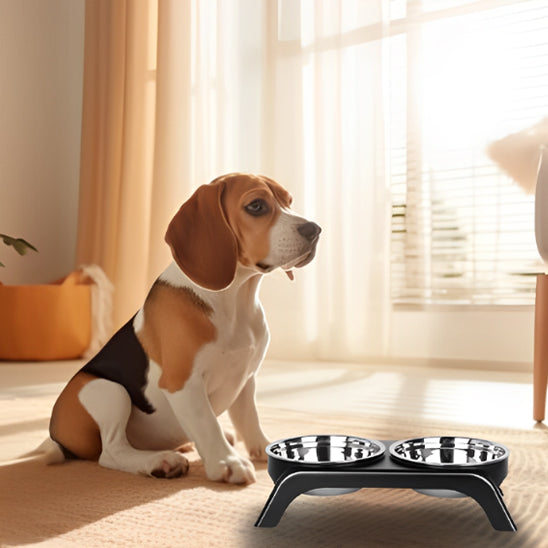 gamelle-pour-chien-design1