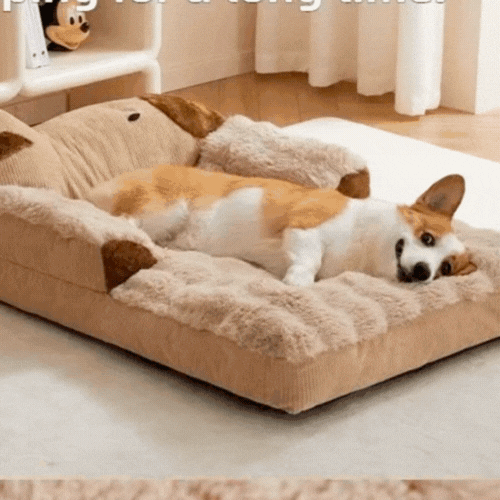 gif-canape-chien