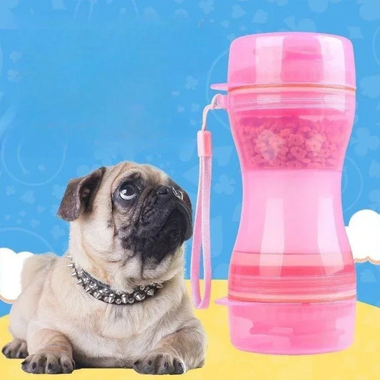 gourde-chien-astucieuse