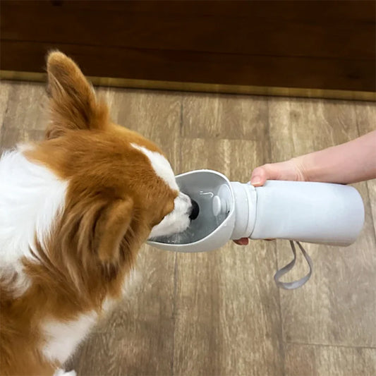 gourde-chien-facil-a-entretenir