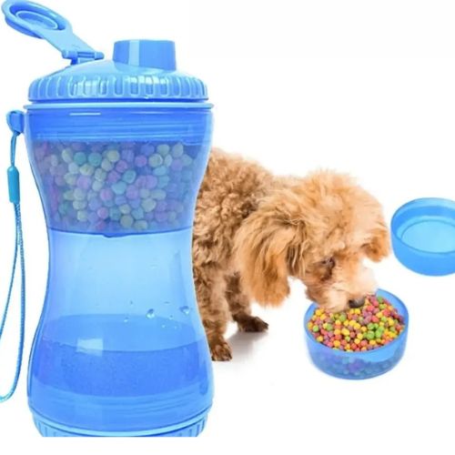 gourde-chien-ingenieuse