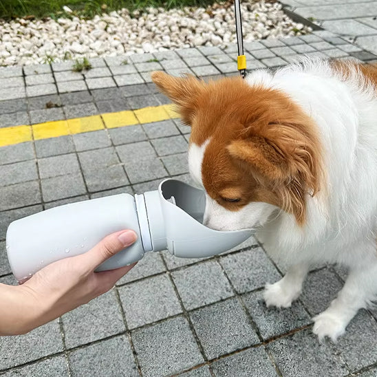 gourde-chien-utilisable