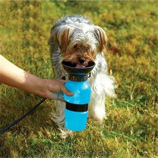 gourde-pour-chien-design-facile