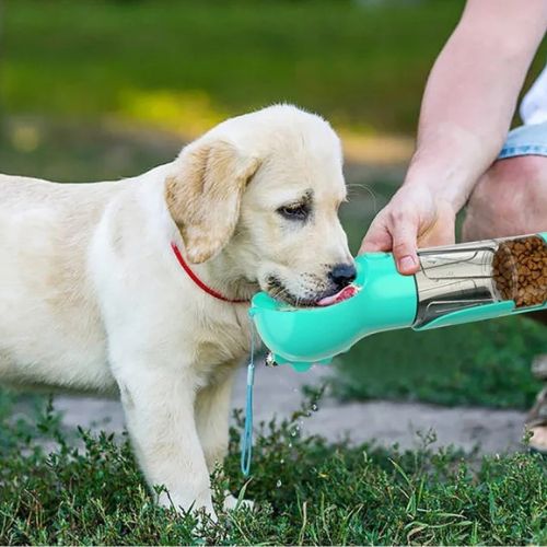 gourdes-pour-chien-etanche