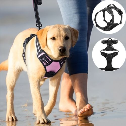harnais-anti-traction-chien-noir