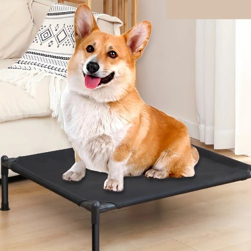 lit-pour-chien-surélevé-durable