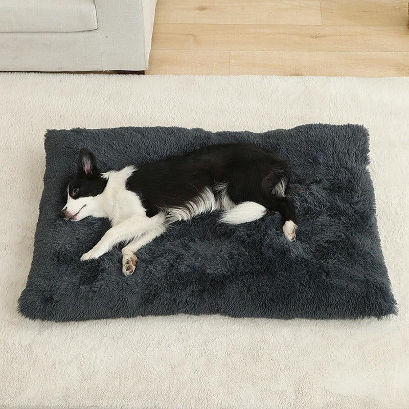 matelas-chien-douillet
