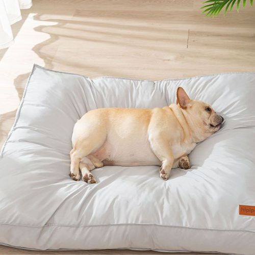 matelas-chien-impermeable