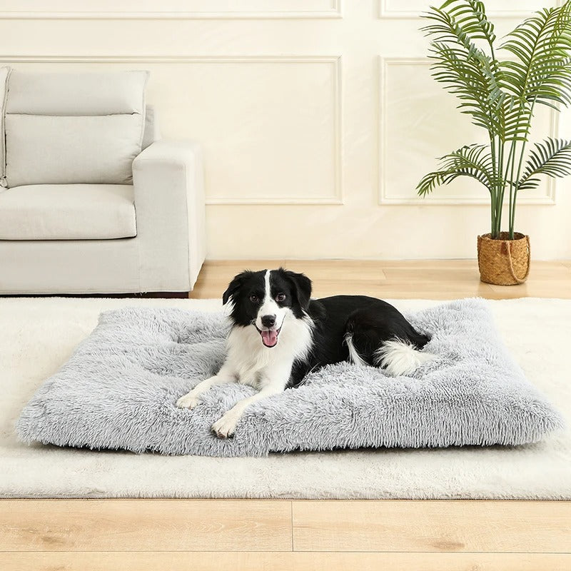 matelas-chien-pratique