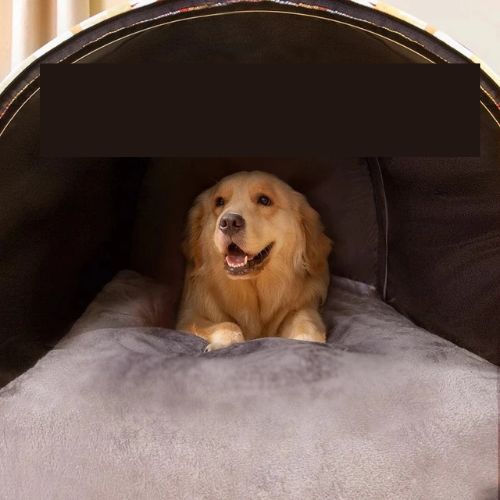 niche-chien-douillet