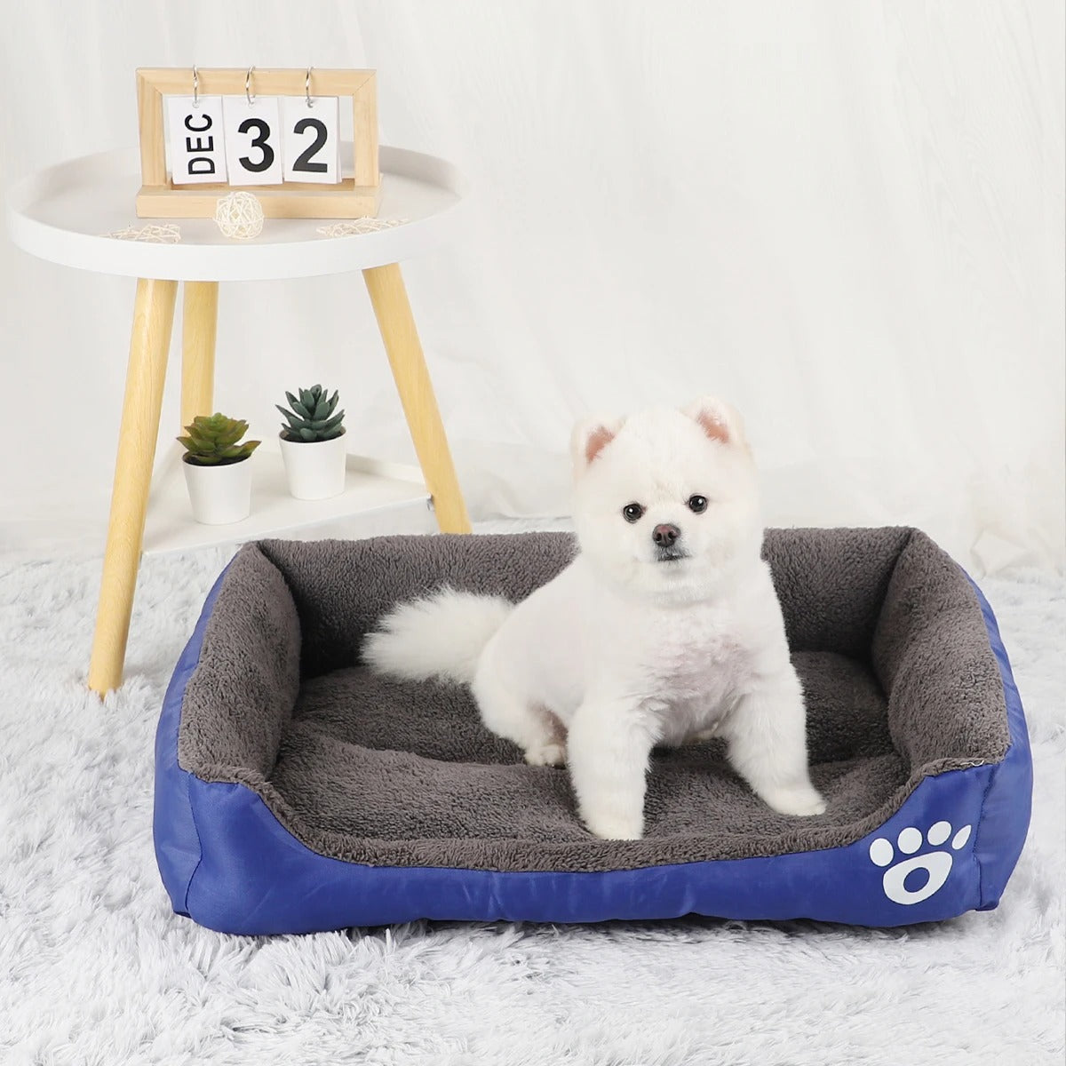 panier-chien-soutenant