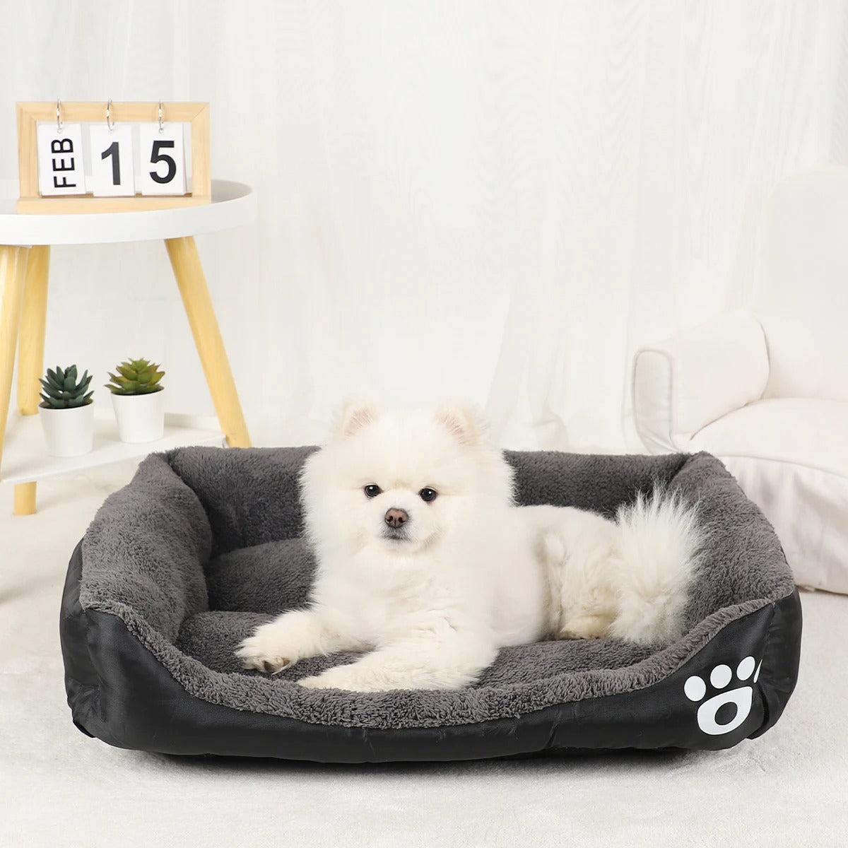 paner-chien-sureleve-noir