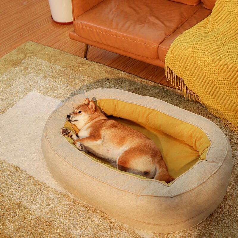 panier-orthopédique-chien-déhoussable-lavable
