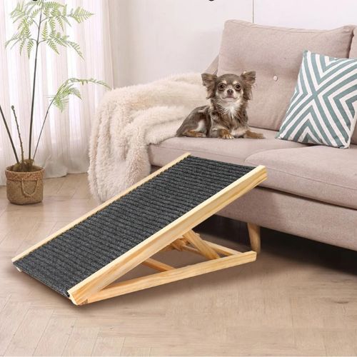 rampe-pour-chien-design