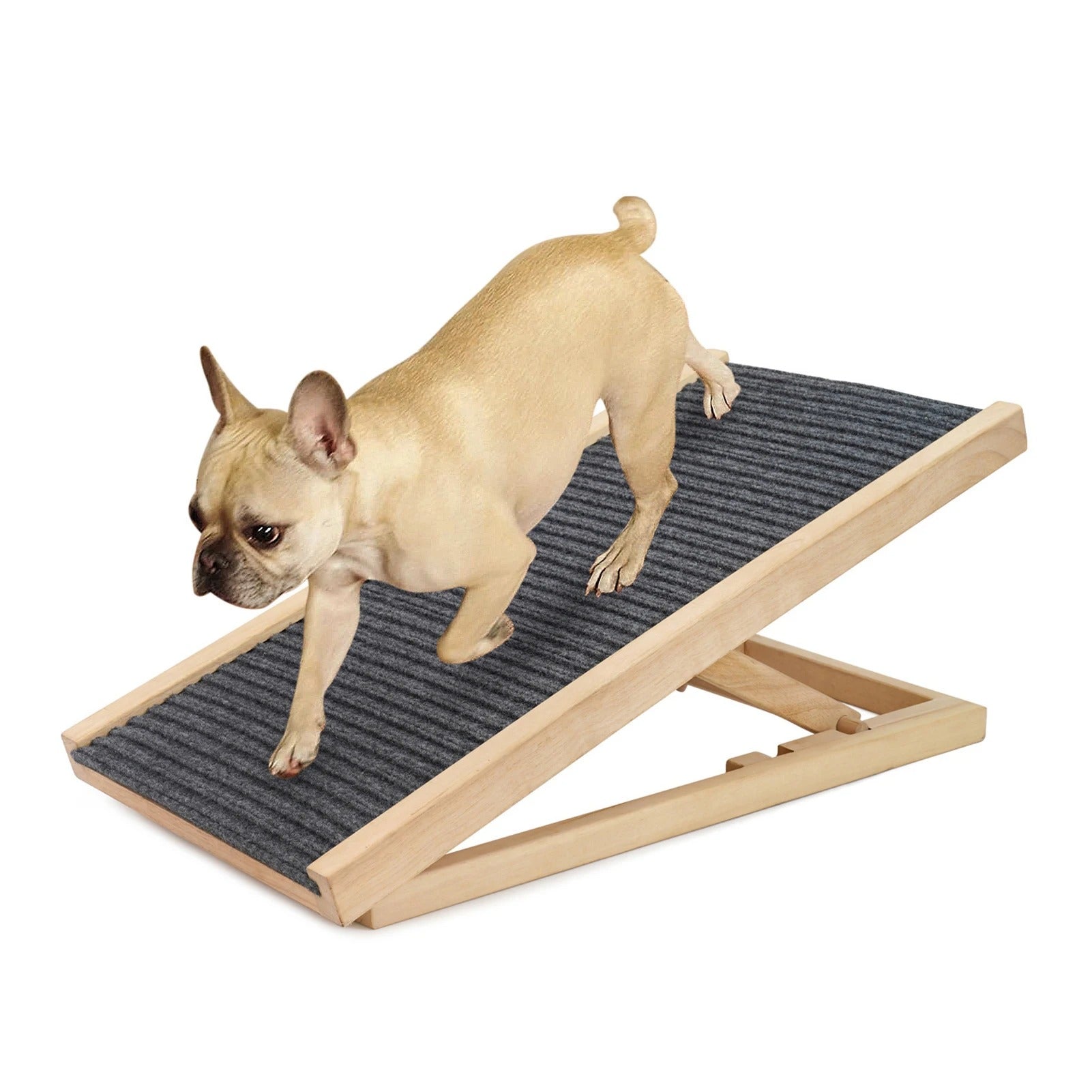 rampe-pour-chien-stable