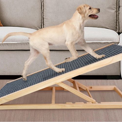 rampe-pour-chien-util-noir