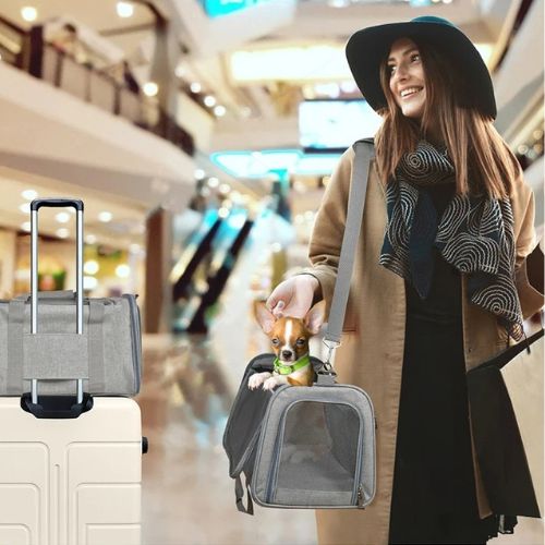 sac-de-transport-pour-chien-polyvalent