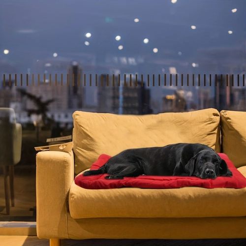 tapis-chien-nomade