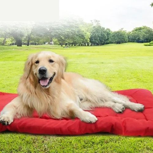 tapis-chien-pliable-imperméable-rouge