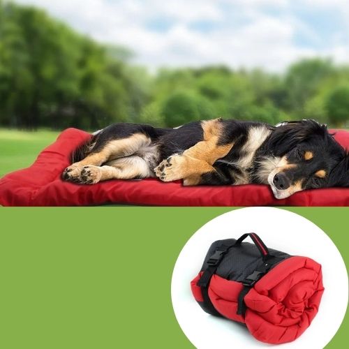 Tapis chien | Pliable