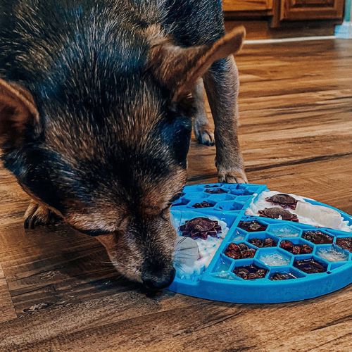 tapis-de-lechage-chien-bleu