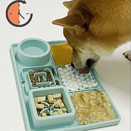 tapis-de-lechage-chien-economique