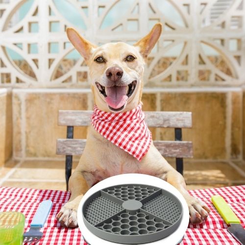 tapis-de-lechage-chien-gris