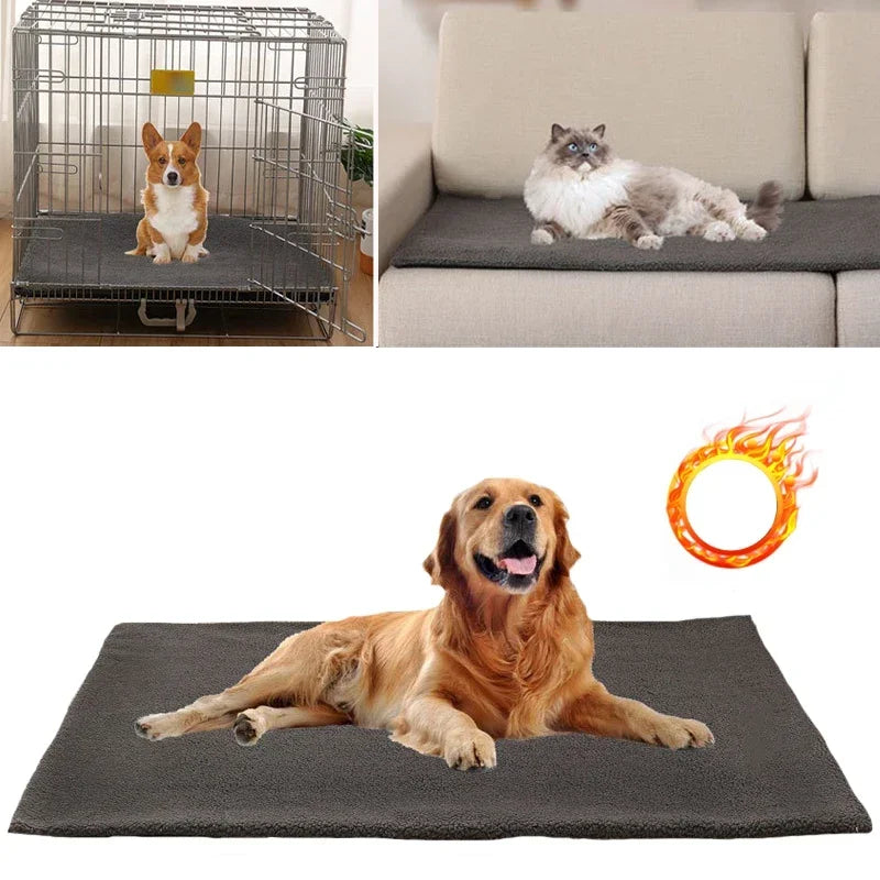 tapis-pour-chien-chauffant-polyvalent