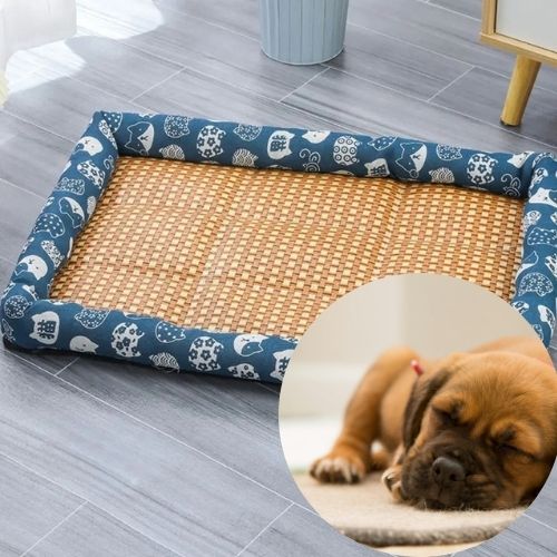 tapis-rafraichissant-chien-bleu-confortable